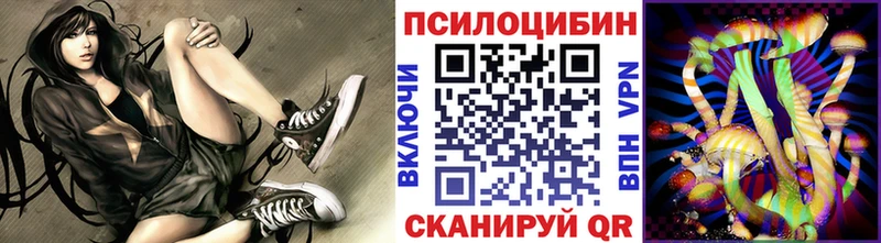 Купить где  Лангепас  Псилоцибиновые грибы Magic Shrooms 
